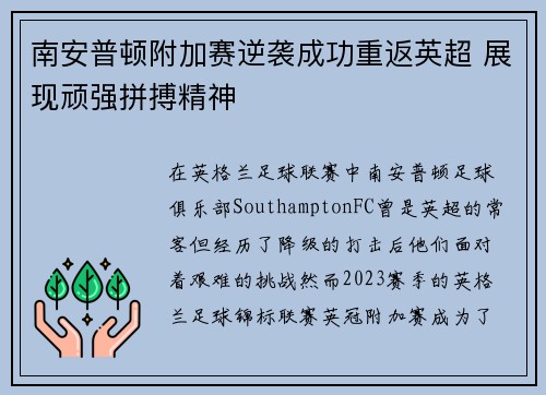 南安普顿附加赛逆袭成功重返英超 展现顽强拼搏精神